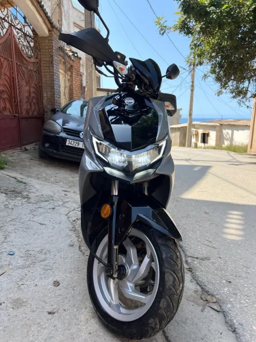 Sym Crox rx 2024