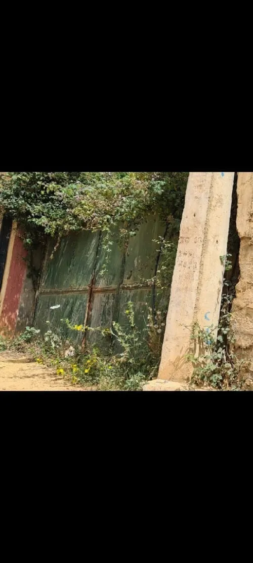 Vente Terrain Alger Saoula