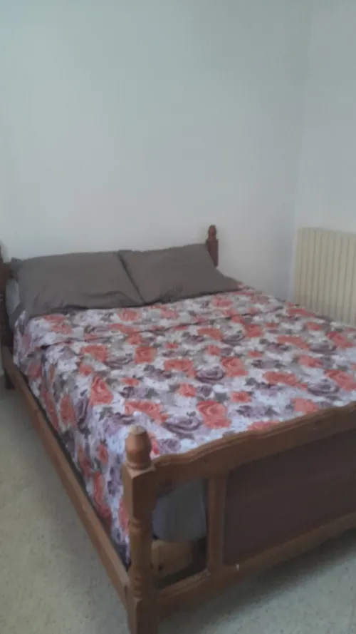 Location Appartement Studio F2 F3 Alger Zeralda