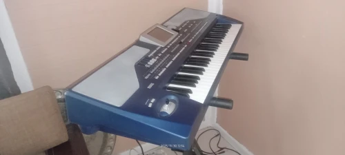 Korg