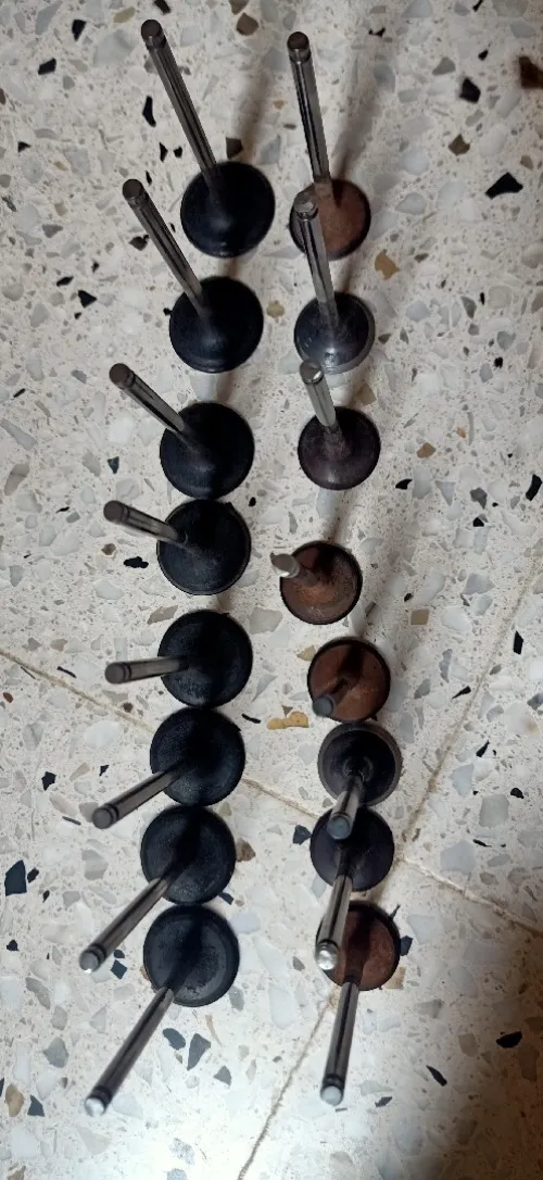 عنابة