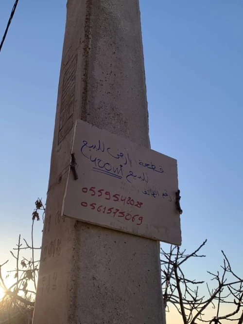 Vente Terrain Blida Meftah
