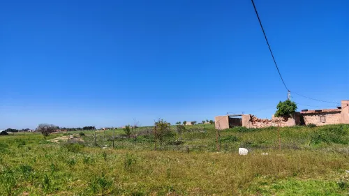Vente Terrain Agricole Tiaret Hamadia