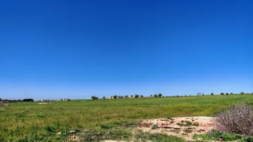 Vente Terrain Agricole Tiaret Hamadia