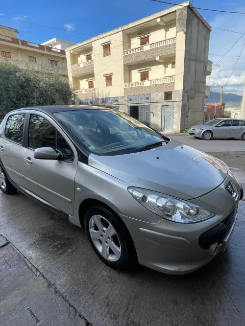 Peugeot 307 2003 XT