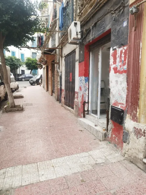 Location Local Alger Alger centre