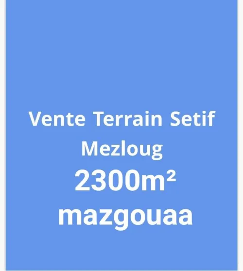 Vente Terrain Sétif Mezloug