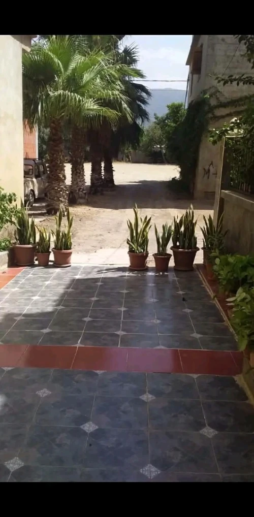 Vente Villa Blida Blida