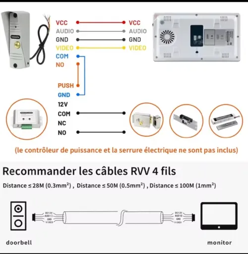 Visiophone indomita 