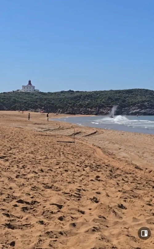 Vente Terrain Jijel Jijel 4