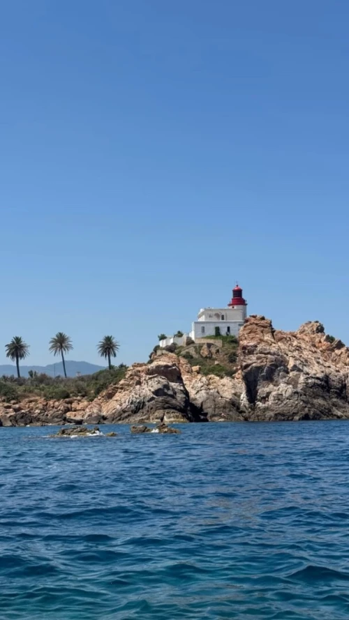 Vente Terrain Jijel Jijel 8