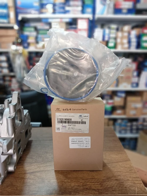 Filtre gasoil santafe Tuc 2022