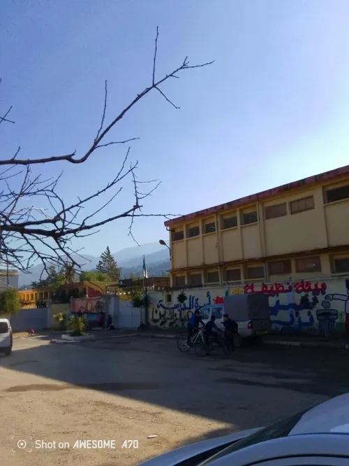 Vente Terrain Blida Blida