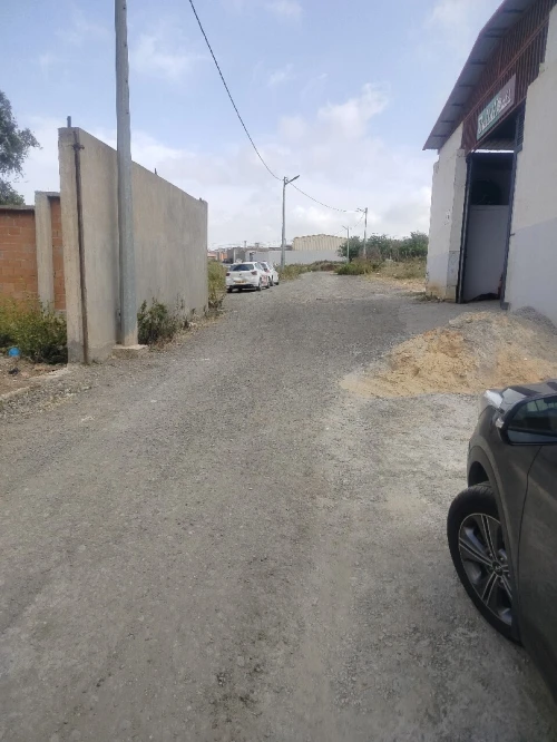 Vente Terrain Alger Ouled fayet