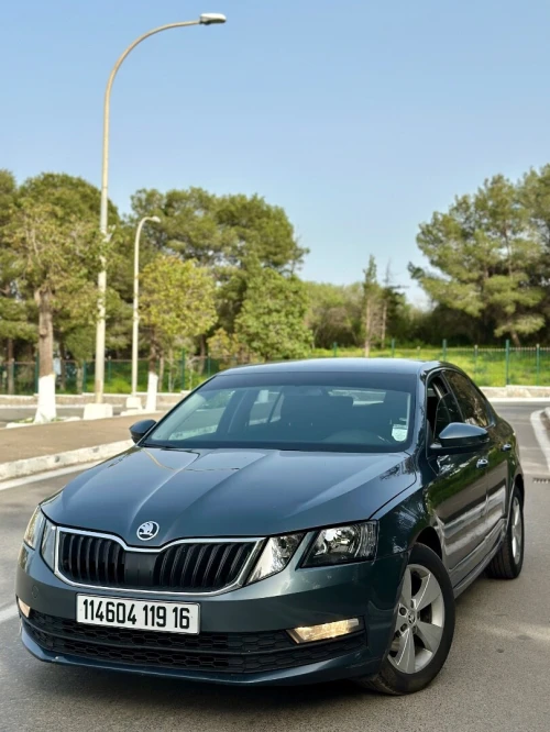 Skoda Octavia 2019 Business