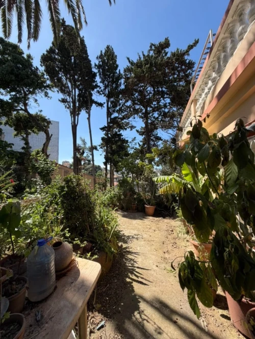 Vente Terrain Alger Birkhadem