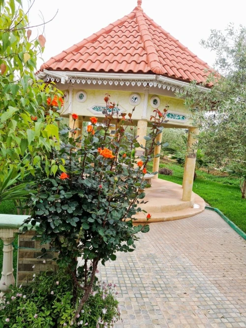 Vente bien immobilier Oran Misseghine