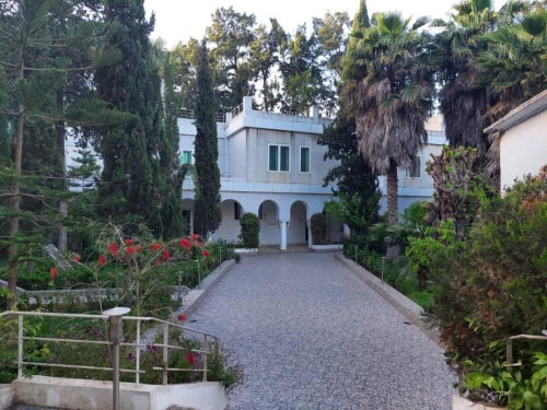Location Immeuble Alger Hydra