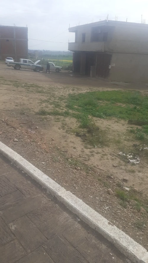 Vente Terrain Aïn Defla Djelida