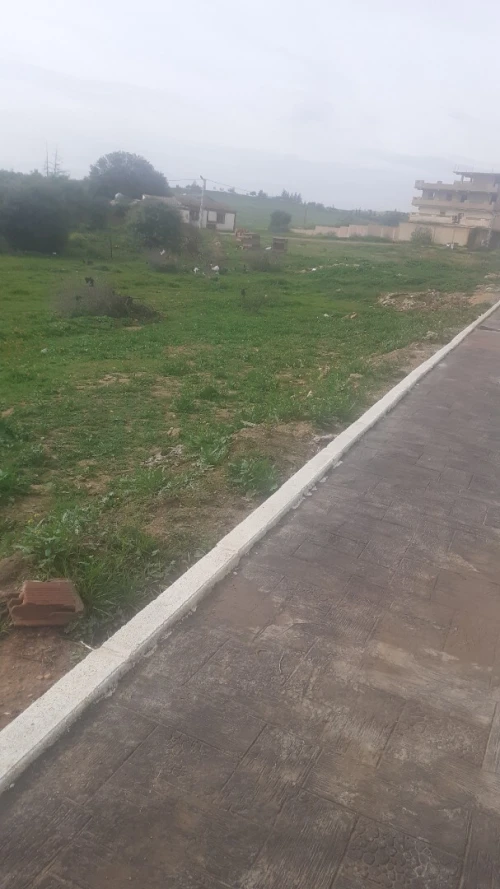 Vente Terrain Aïn Defla Djelida