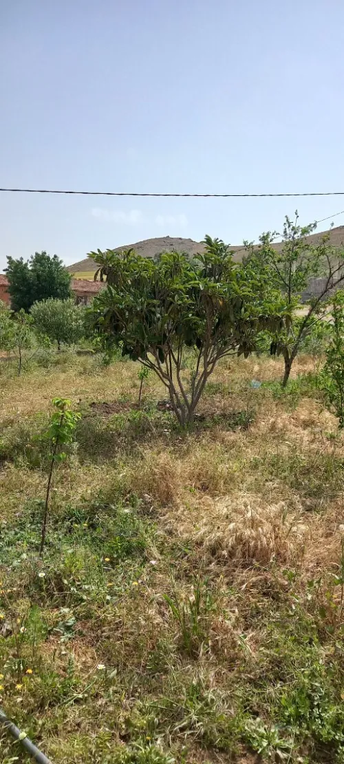 Vente Appartement Aïn Defla Bordj emir khaled chikh
