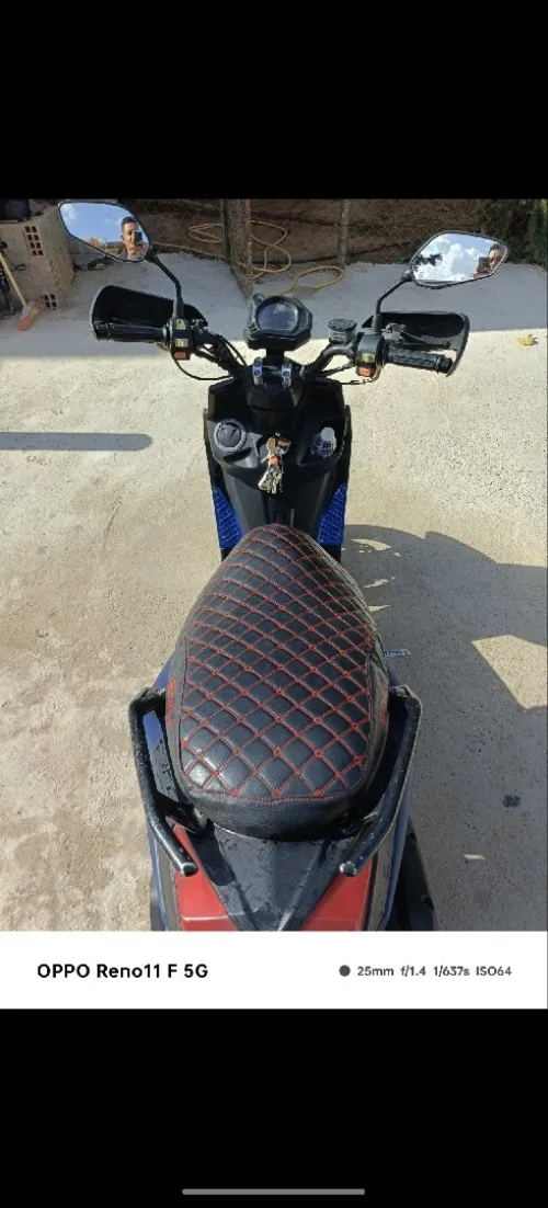 Luojia Scooter 2019