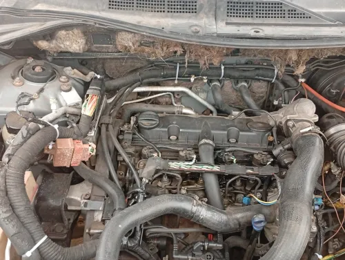 Nissan X Trail 2003 X Trail