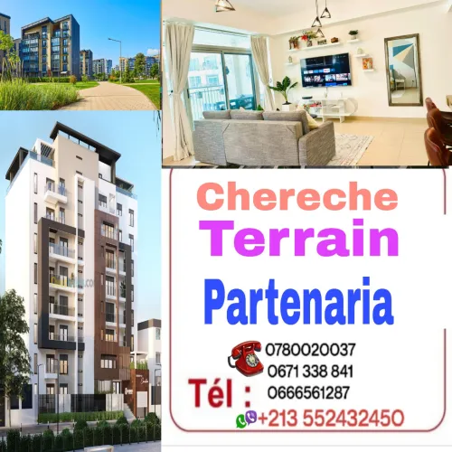 Cherche achat Terrain Blida Blida