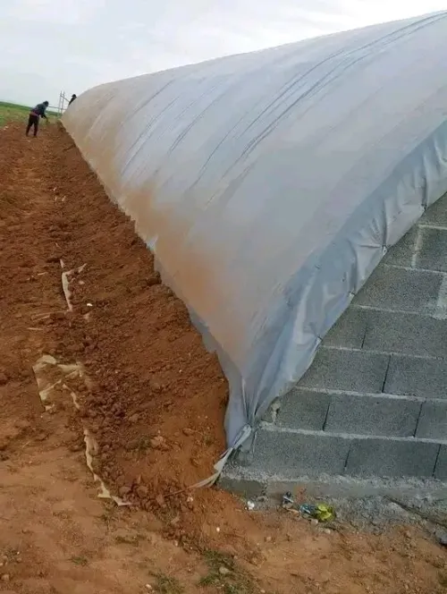 بيوت بلاستكية للخضر والدواجن