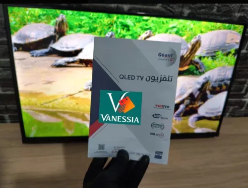 TV géant
