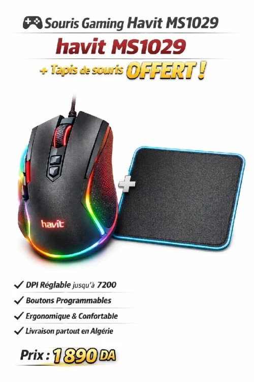 Souris gaming Havit MS 1029 + tapis de souris gaming offert