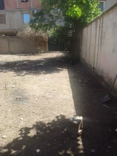 Vente Terrain Blida Larbaa