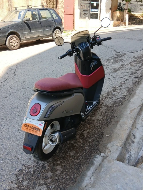 Vms Gemma 2026
