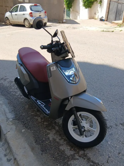 Vms Gemma 2026