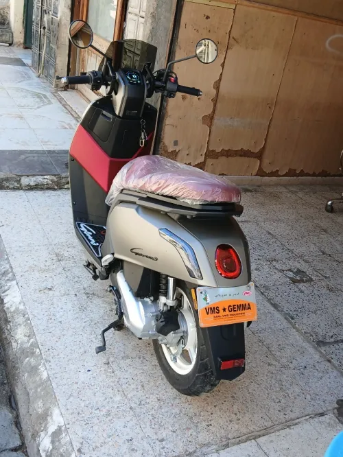 Vms Gemma 2026