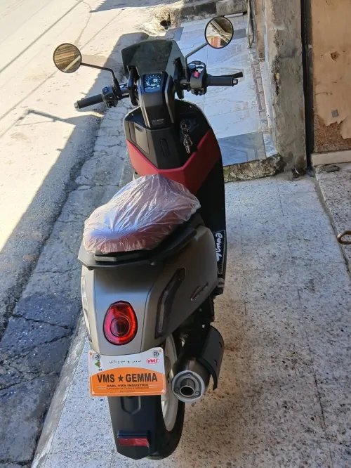 Vms Gemma 2026