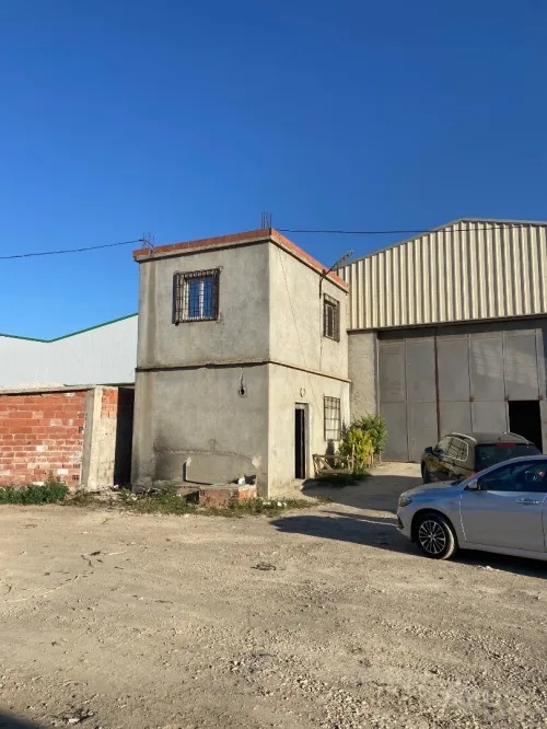 Location Hangar Blida Boufarik