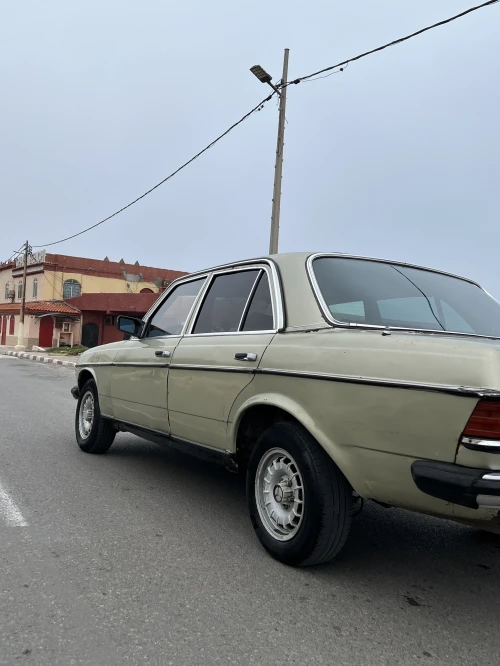 Mercedes W123 1980 300d