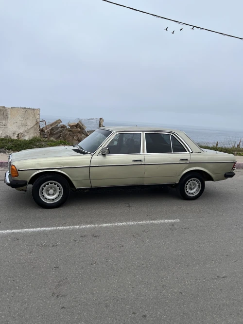Mercedes W123 1980 300d