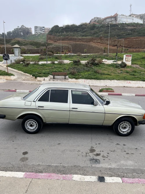 Mercedes W123 1980 300d