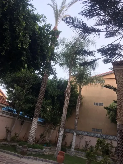 Vente Villa Alger Bordj el bahri