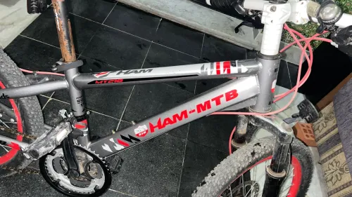 Vèlo ham mtb 20