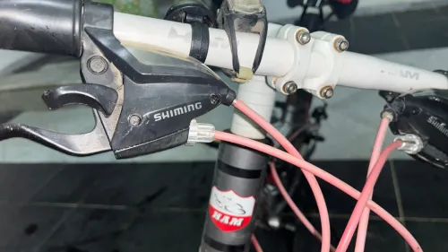 Vèlo ham mtb 20