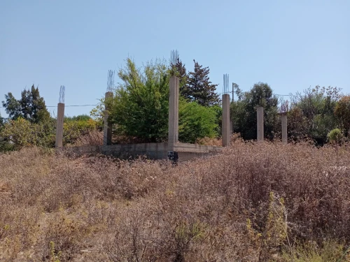 Vente Terrain Blida Ain romana