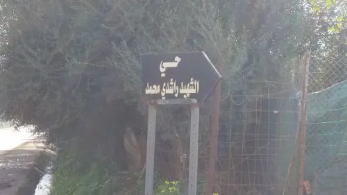 Vente Terrain Blida Larbaa