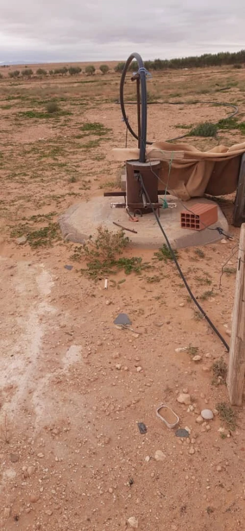 Vente Terrain Agricole Djelfa Hassi bahbah