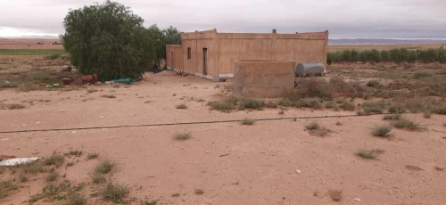Vente Terrain Agricole Djelfa Hassi bahbah