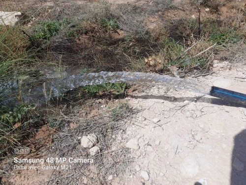 Vente Terrain Agricole Djelfa Hassi bahbah