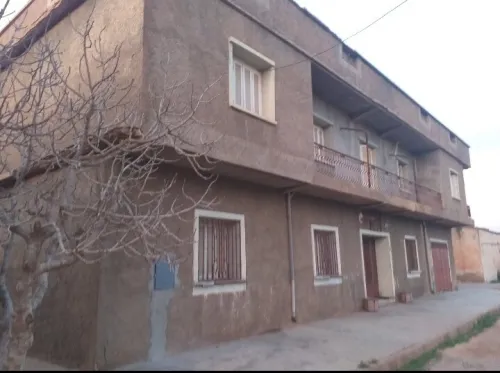 Vente Terrain Sidi Bel Abbès Amarnas