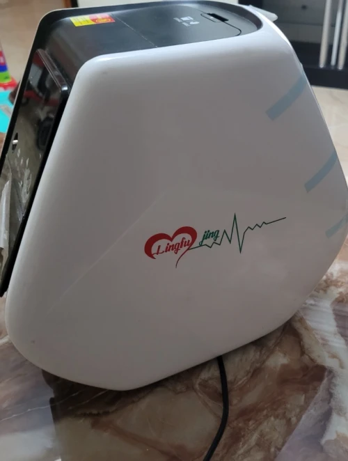 Concentrateur d'oxygène portable 4L (lingfu jing)